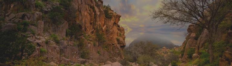 رحلات رخيصة إلى الطائف Tif احجز تذاكر طيران الطائف تجول